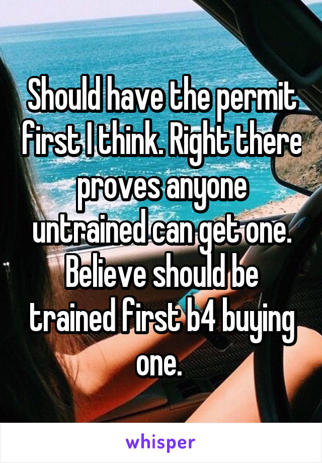 Should have the permit first I think. Right there proves anyone untrained can get one. Believe should be trained first b4 buying one. 