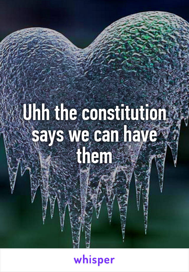 Uhh the constitution says we can have them