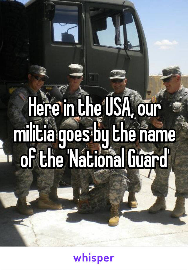 Here in the USA, our militia goes by the name of the 'National Guard'