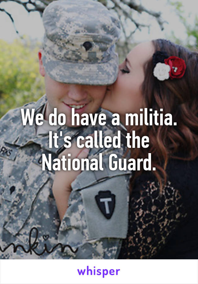 We do have a militia.
It's called the National Guard.