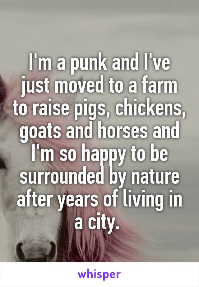 I'm a punk and I've just moved to a farm to raise pigs, chickens, goats and horses and I'm so happy to be surrounded by nature after years of living in a city. 