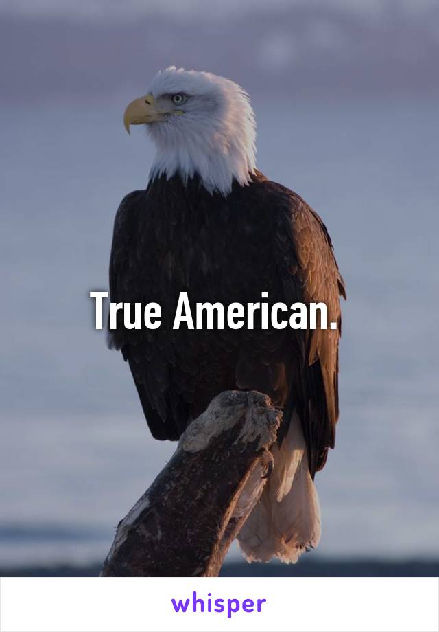 True American. 