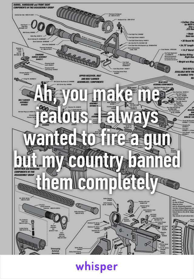 Ah, you make me jealous. I always wanted to fire a gun but my country banned them completely