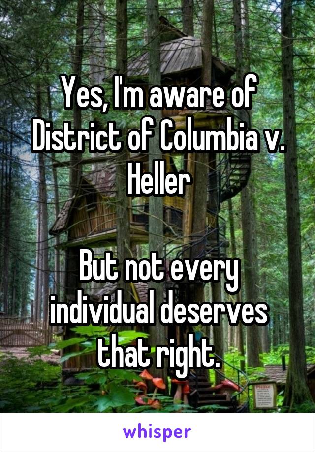 Yes, I'm aware of District of Columbia v. Heller

But not every individual deserves that right.