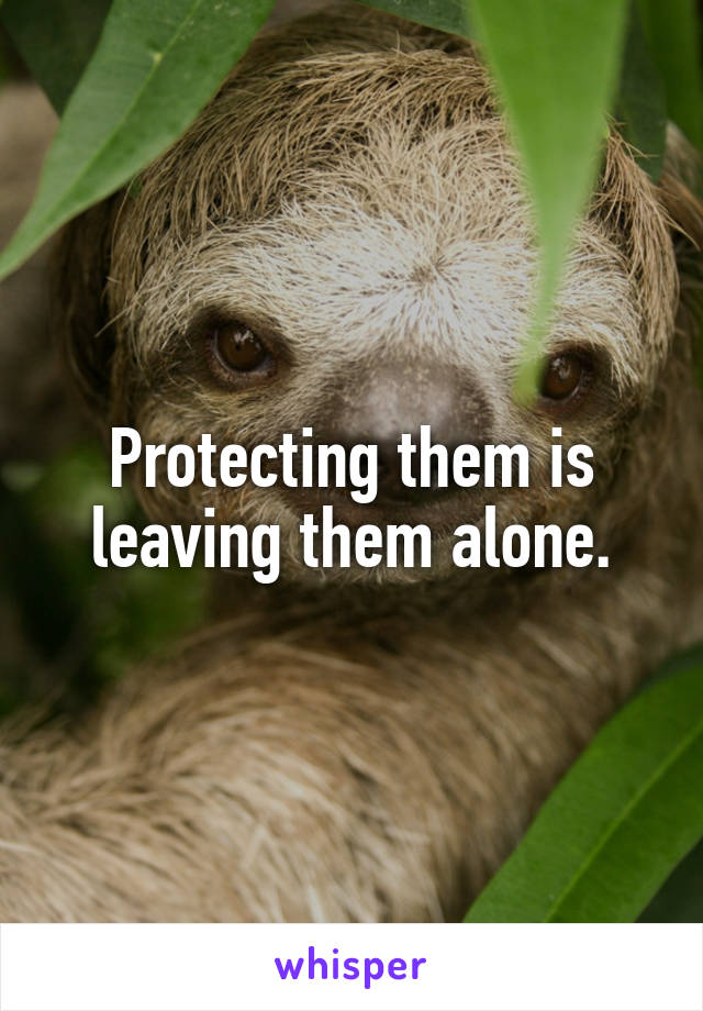 Protecting them is leaving them alone.