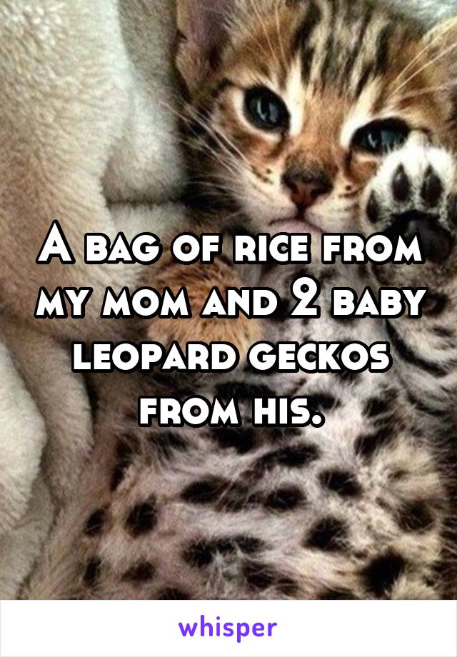 A bag of rice from my mom and 2 baby leopard geckos from his.