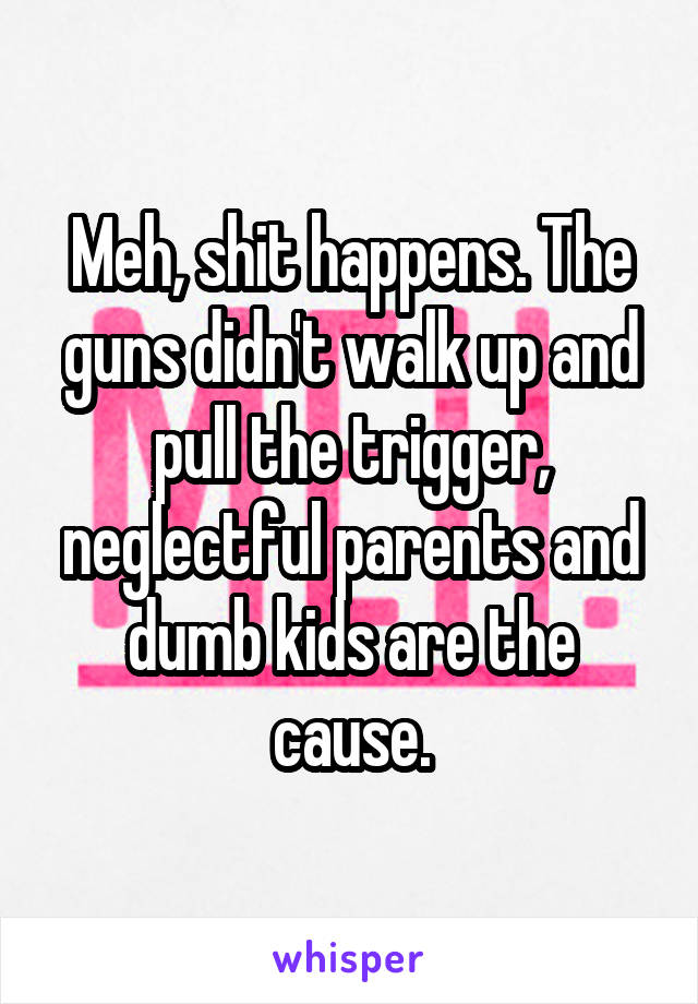 Meh, shit happens. The guns didn't walk up and pull the trigger, neglectful parents and dumb kids are the cause.