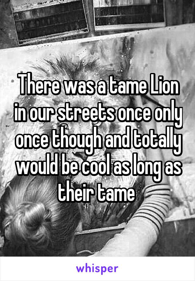 There was a tame Lion in our streets once only once though and totally would be cool as long as their tame 