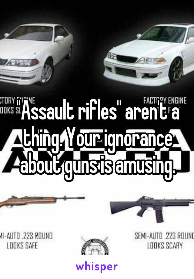 "Assault rifles" aren't a thing. Your ignorance about guns is amusing.