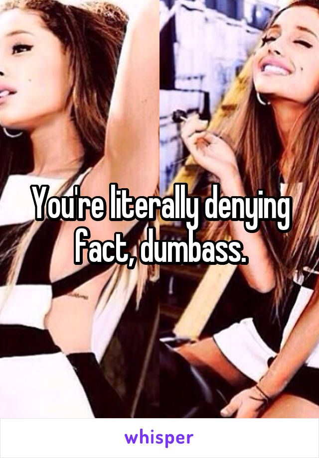 You're literally denying fact, dumbass.