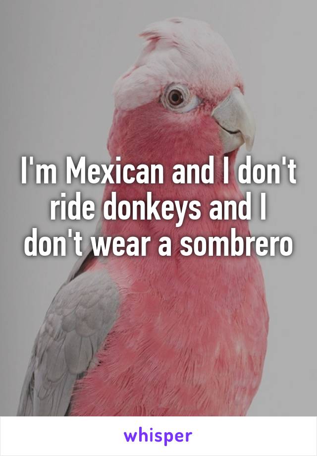 I'm Mexican and I don't ride donkeys and I don't wear a sombrero 