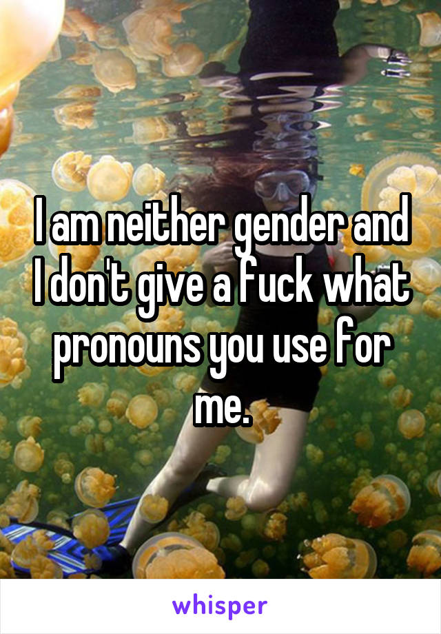 I am neither gender and I don't give a fuck what pronouns you use for me.