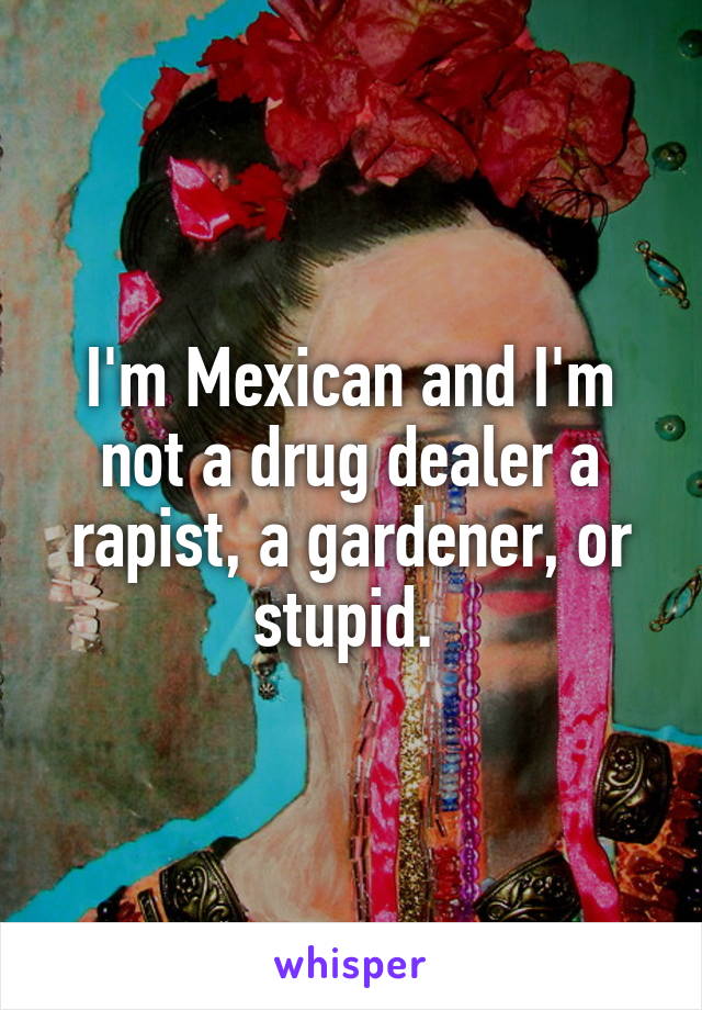 I'm Mexican and I'm not a drug dealer a rapist, a gardener, or stupid. 