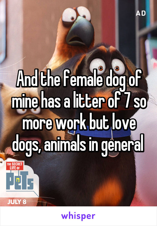 And the female dog of mine has a litter of 7 so more work but love dogs, animals in general 