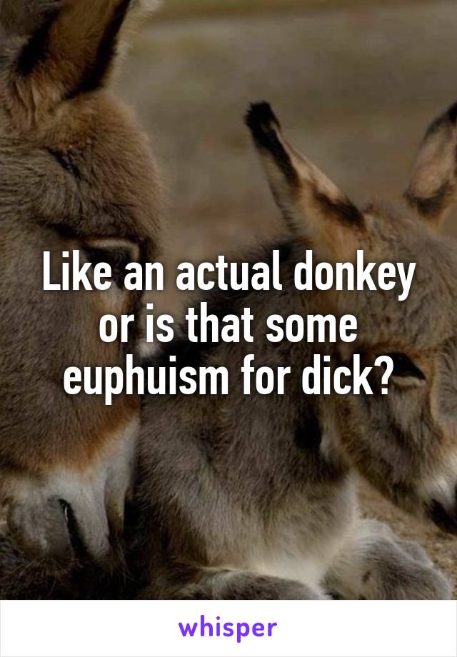 Like an actual donkey or is that some euphuism for dick?