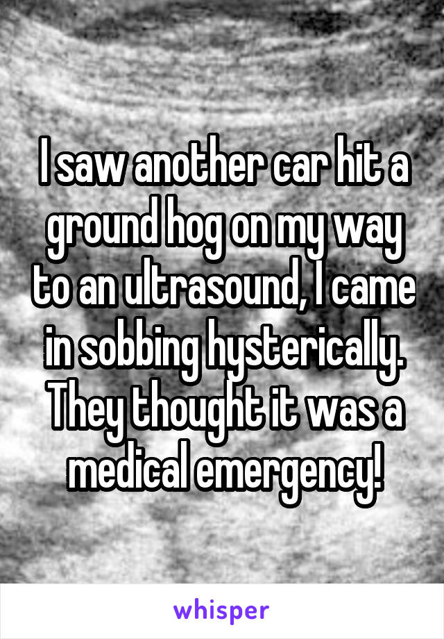 I saw another car hit a ground hog on my way to an ultrasound, I came in sobbing hysterically. They thought it was a medical emergency!