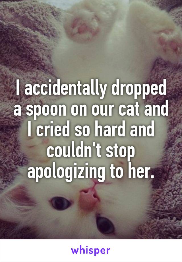 I accidentally dropped a spoon on our cat and I cried so hard and couldn't stop apologizing to her.