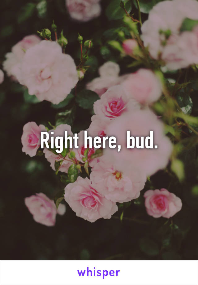 Right here, bud.