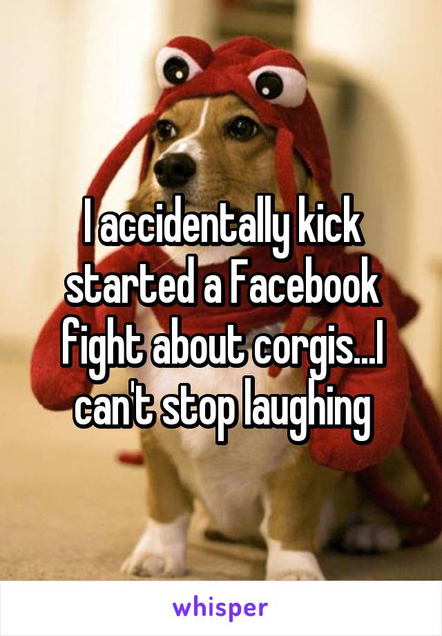 I accidentally kick started a Facebook fight about corgis...I can't stop laughing