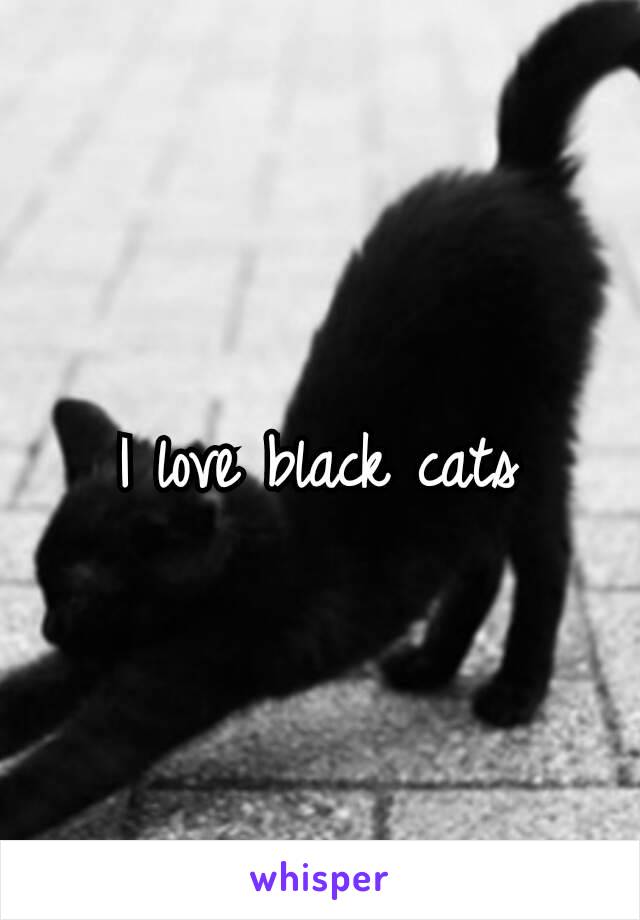 I love black cats♥