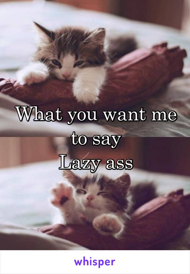 What you want me to say
Lazy ass