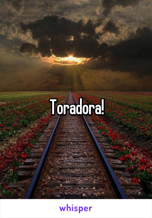 Toradora!