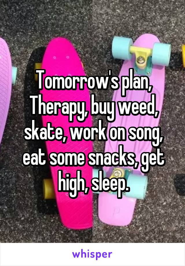 Tomorrow's plan,
Therapy, buy weed, skate, work on song, eat some snacks, get high, sleep.