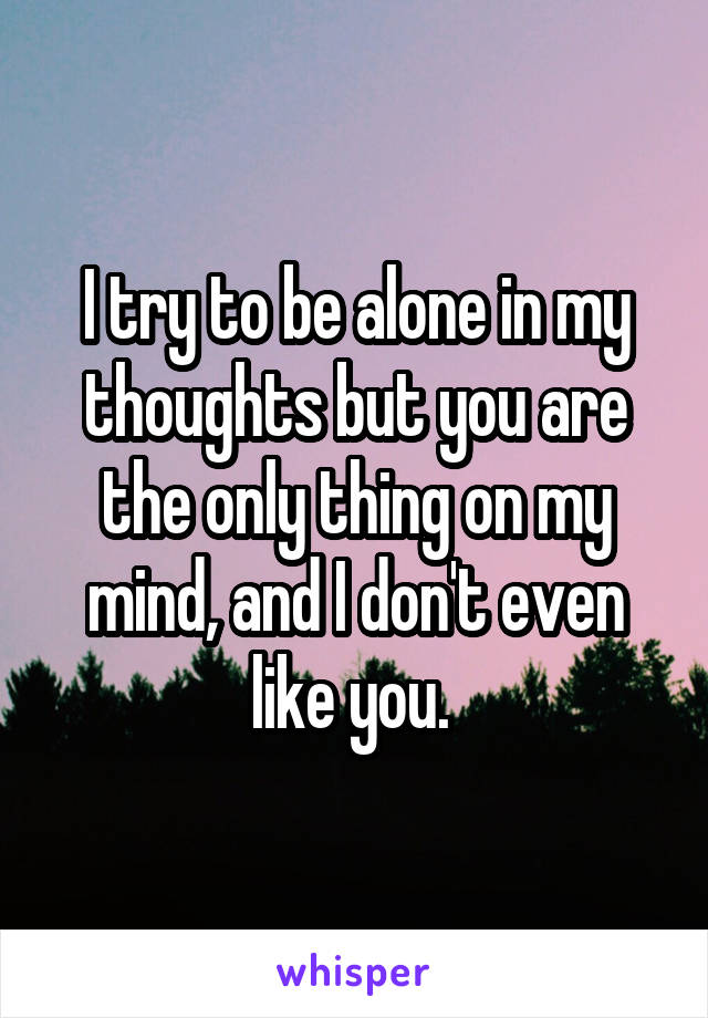 I try to be alone in my thoughts but you are the only thing on my mind, and I don't even like you. 