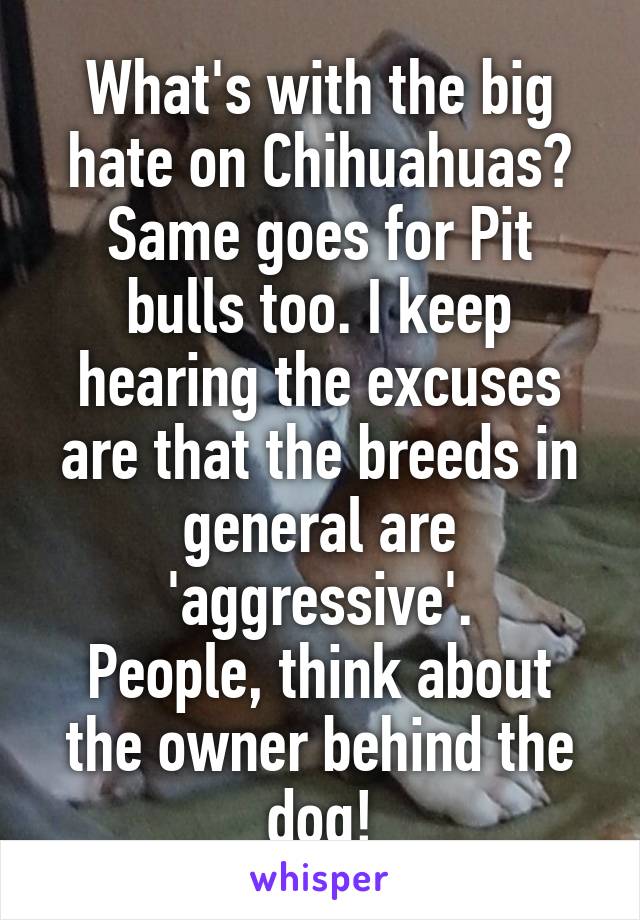 What's with the big hate on Chihuahuas? Same goes for Pit bulls too. I keep hearing the excuses are that the breeds in general are 'aggressive'.
People, think about the owner behind the dog!