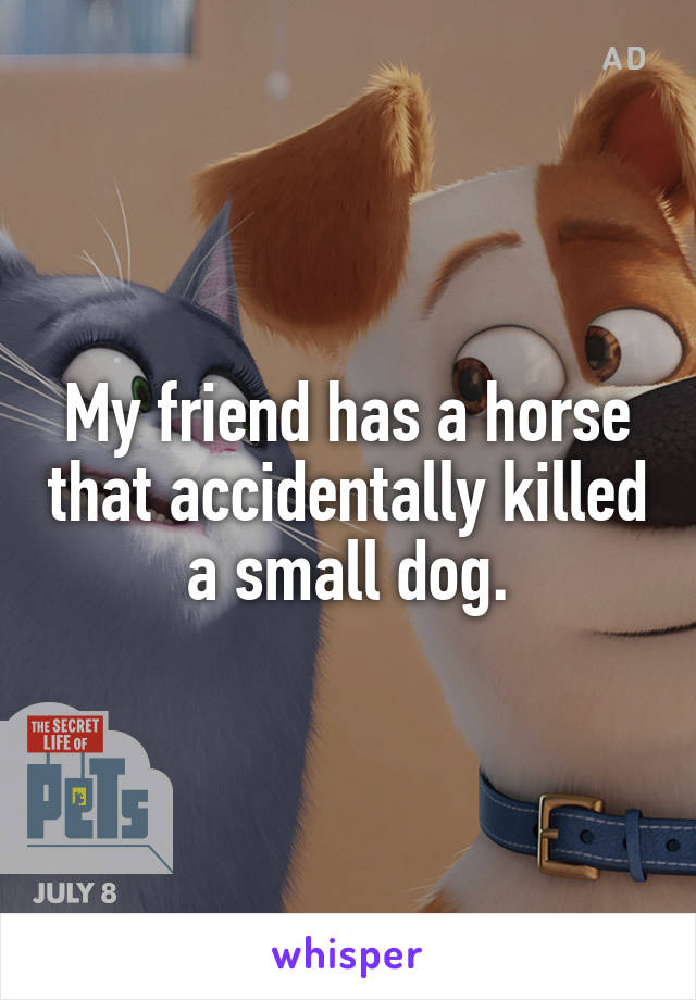 My friend has a horse that accidentally killed a small dog.