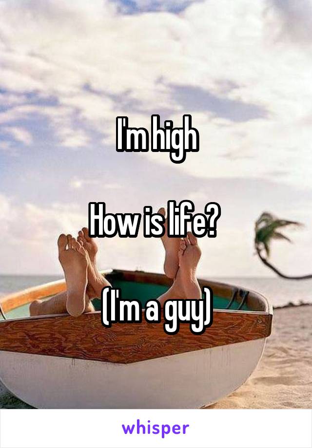 I'm high

How is life? 

(I'm a guy)