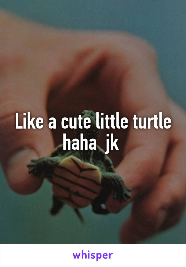 Like a cute little turtle haha  jk 