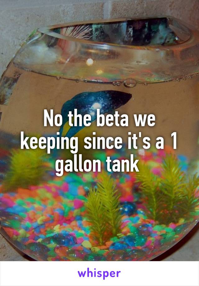 No the beta we keeping since it's a 1 gallon tank 