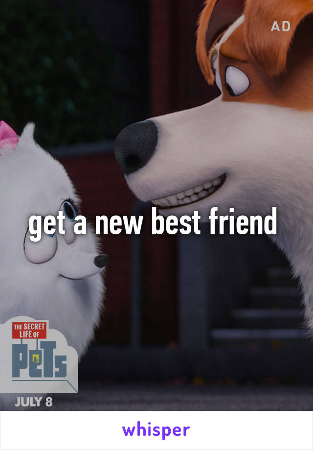 get a new best friend 
