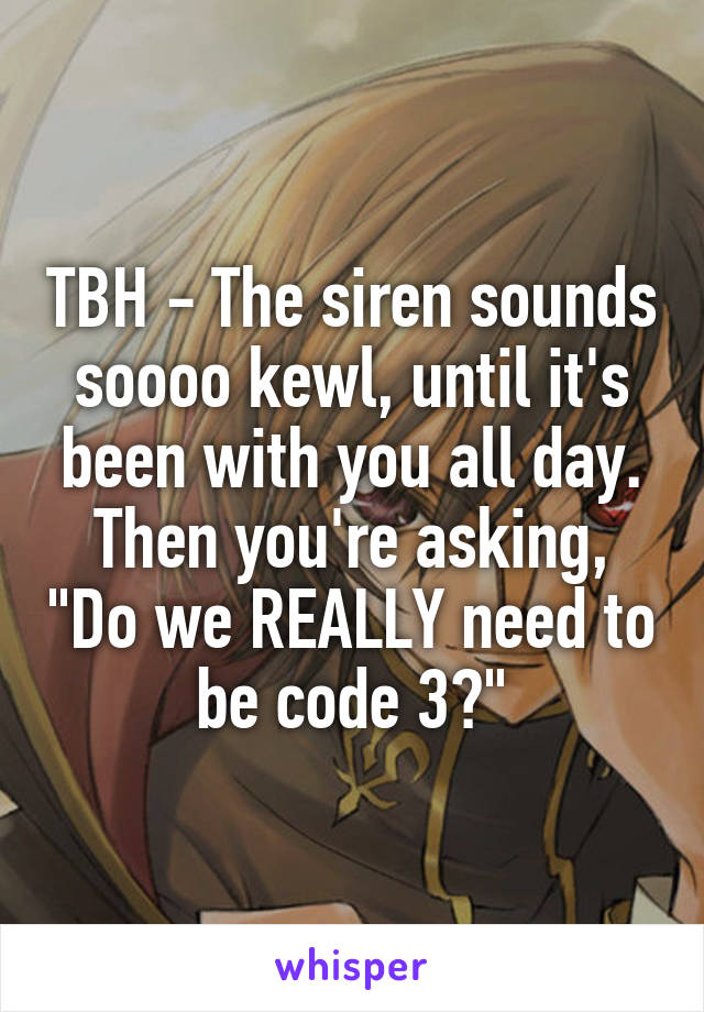TBH - The siren sounds soooo kewl, until it's been with you all day. Then you're asking, "Do we REALLY need to be code 3?"