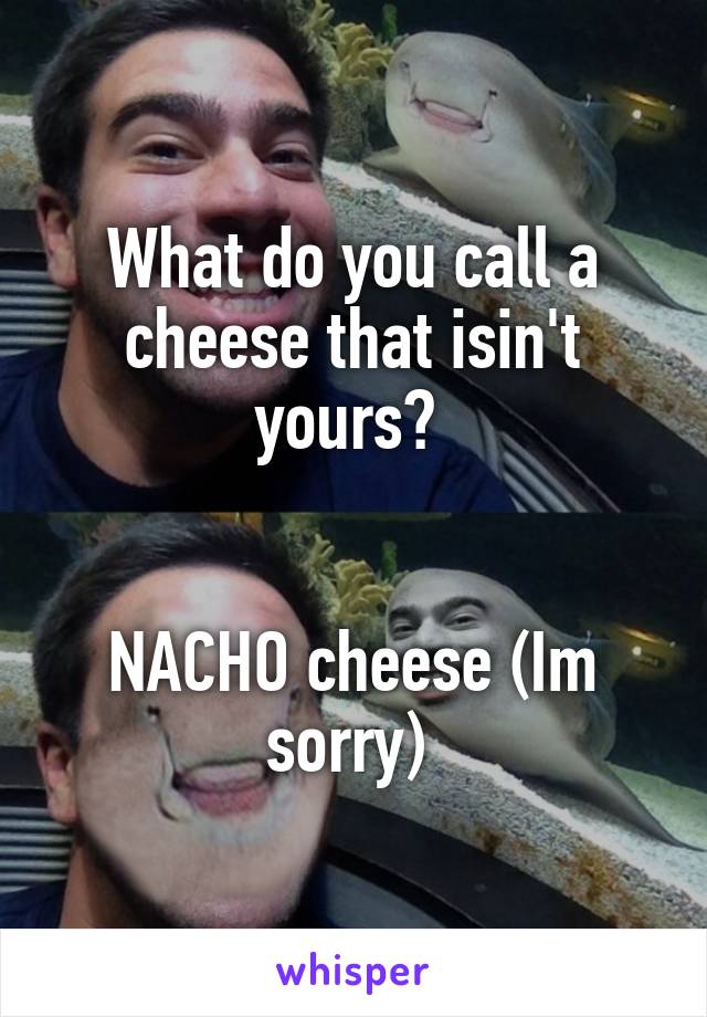 What do you call a cheese that isin't yours? 


NACHO cheese (Im sorry) 