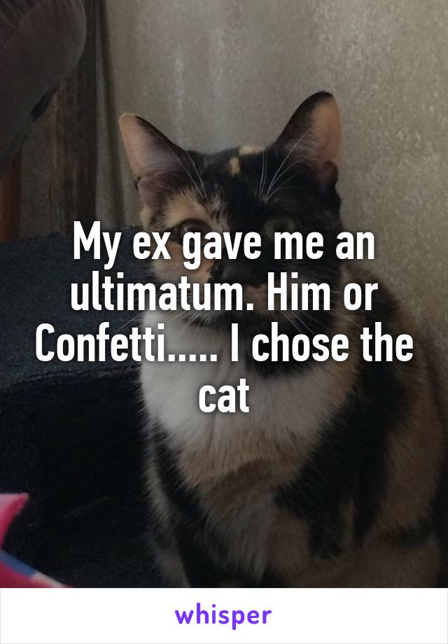My ex gave me an ultimatum. Him or Confetti..... I chose the cat