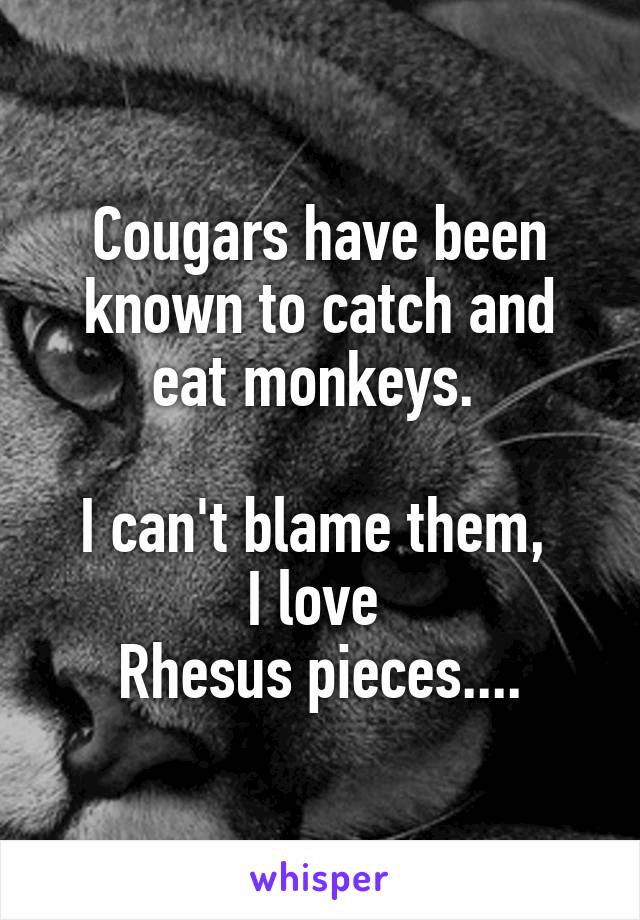 Cougars have been known to catch and eat monkeys. 

I can't blame them, 
I love 
Rhesus pieces....