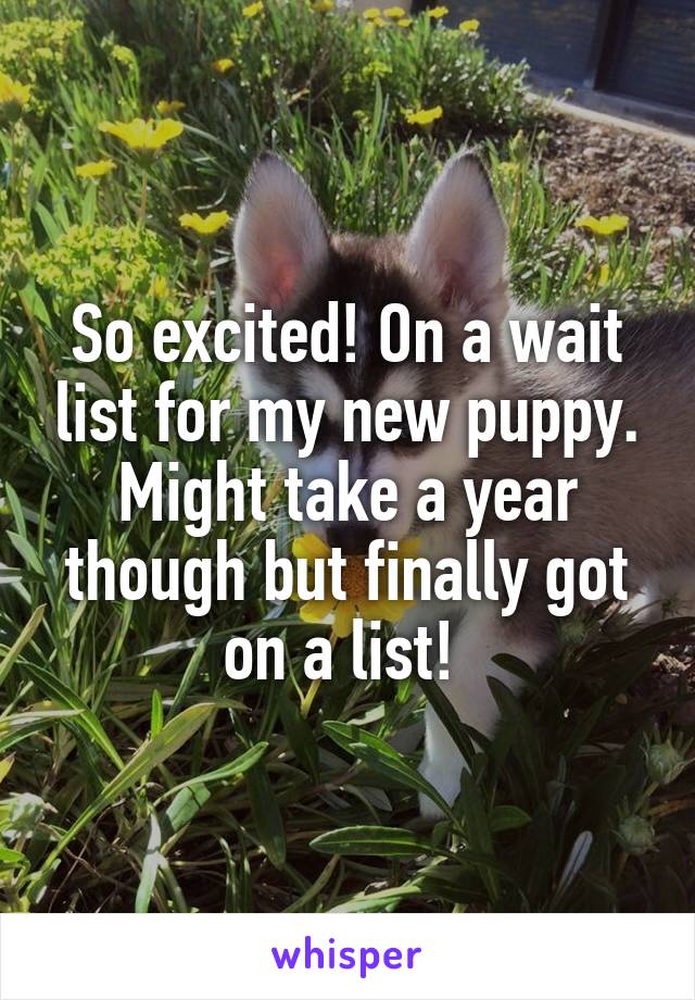So excited! On a wait list for my new puppy. Might take a year though but finally got on a list! 