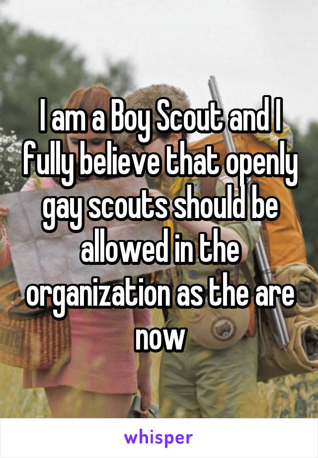 I am a Boy Scout and I fully believe that openly gay scouts should be allowed in the organization as the are now