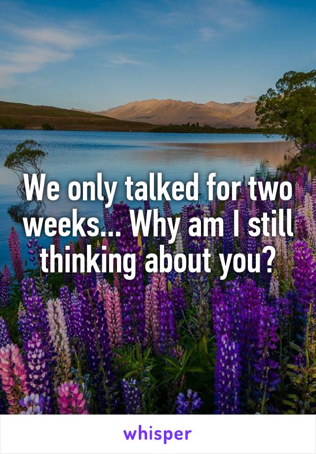 We only talked for two weeks... Why am I still thinking about you?