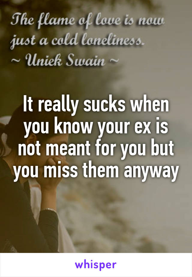 It really sucks when you know your ex is not meant for you but you miss them anyway