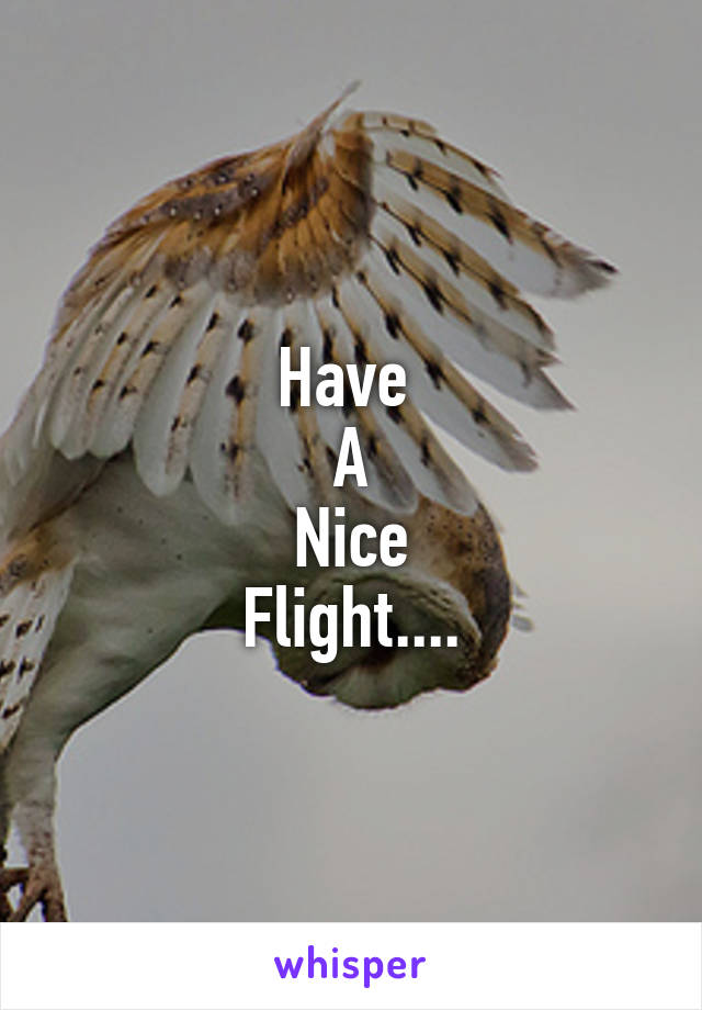 Have 
A
Nice
Flight....