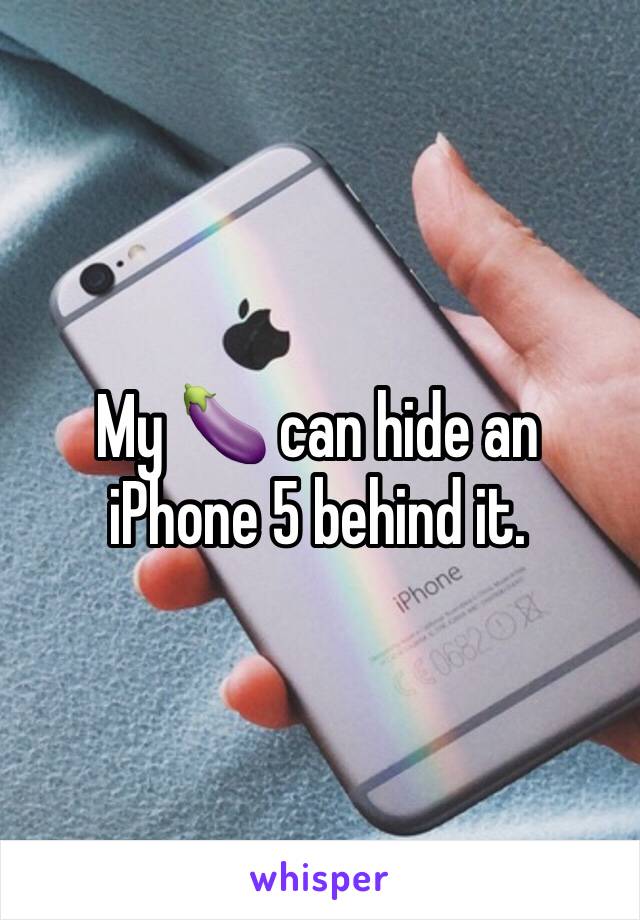 My 🍆 can hide an iPhone 5 behind it.