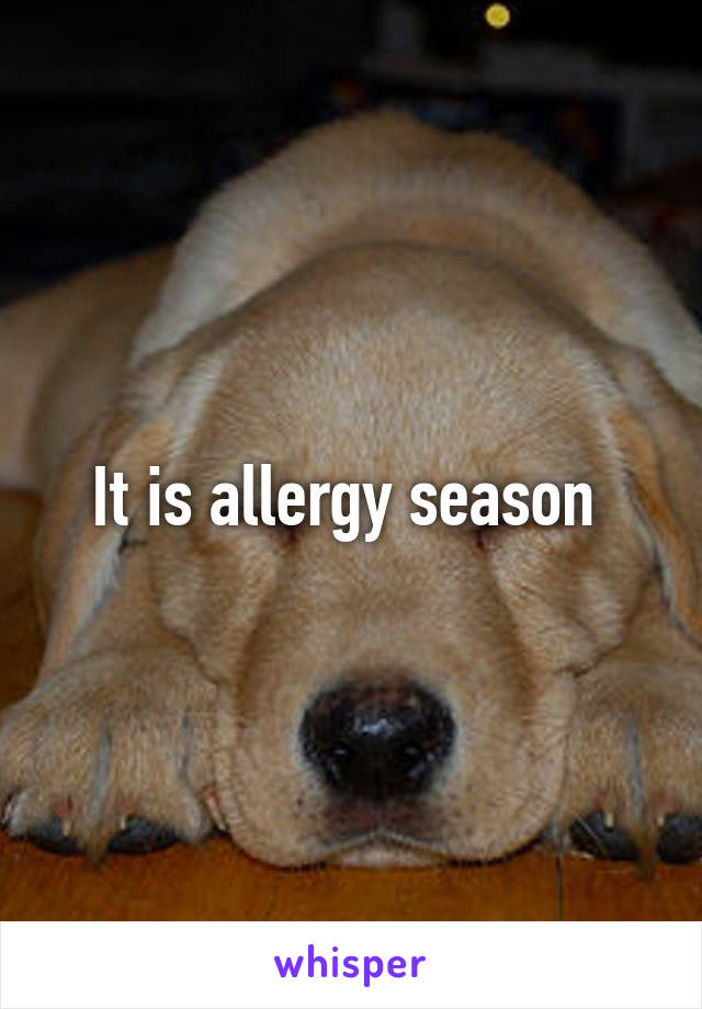 It is allergy season 