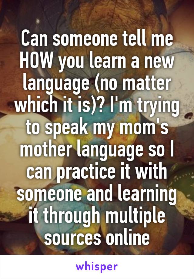 Can someone tell me HOW you learn a new language (no matter which it is)? I'm trying to speak my mom's mother language so I can practice it with someone and learning it through multiple sources online