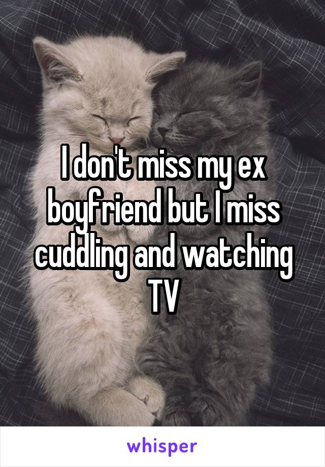I don't miss my ex boyfriend but I miss cuddling and watching TV