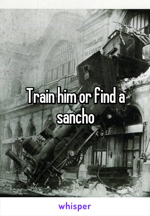 Train him or find a sancho