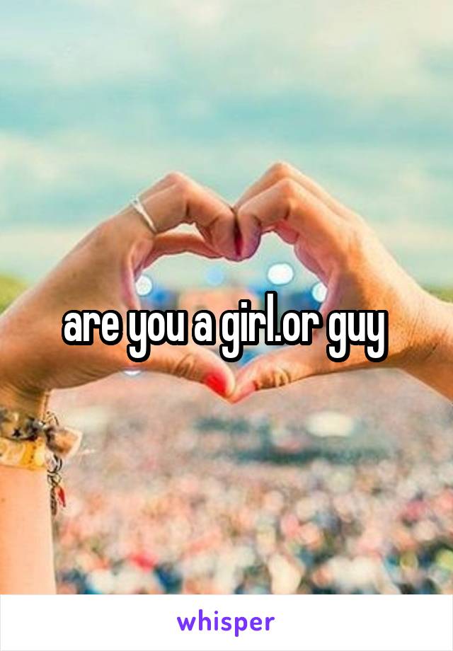 are you a girl.or guy 