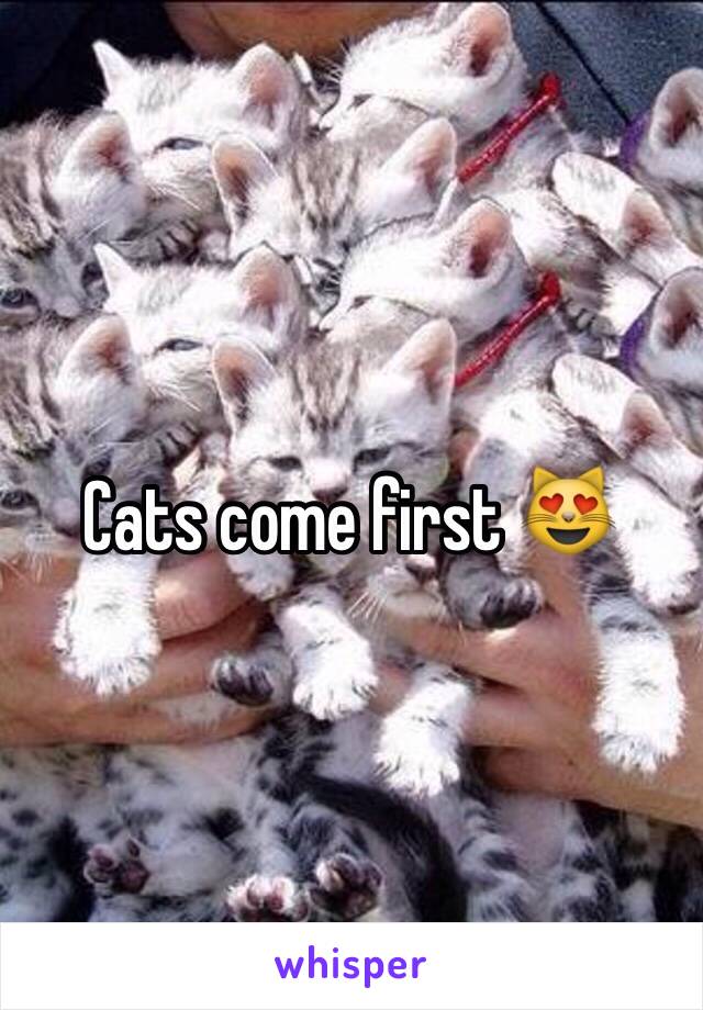 Cats come first 😻
